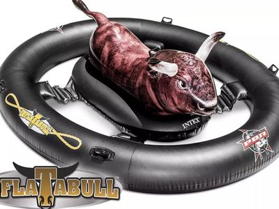 Infla-T-aBULL One Person Water Rodeo