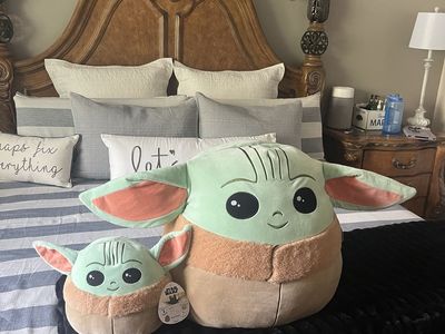 Yoda and Groku