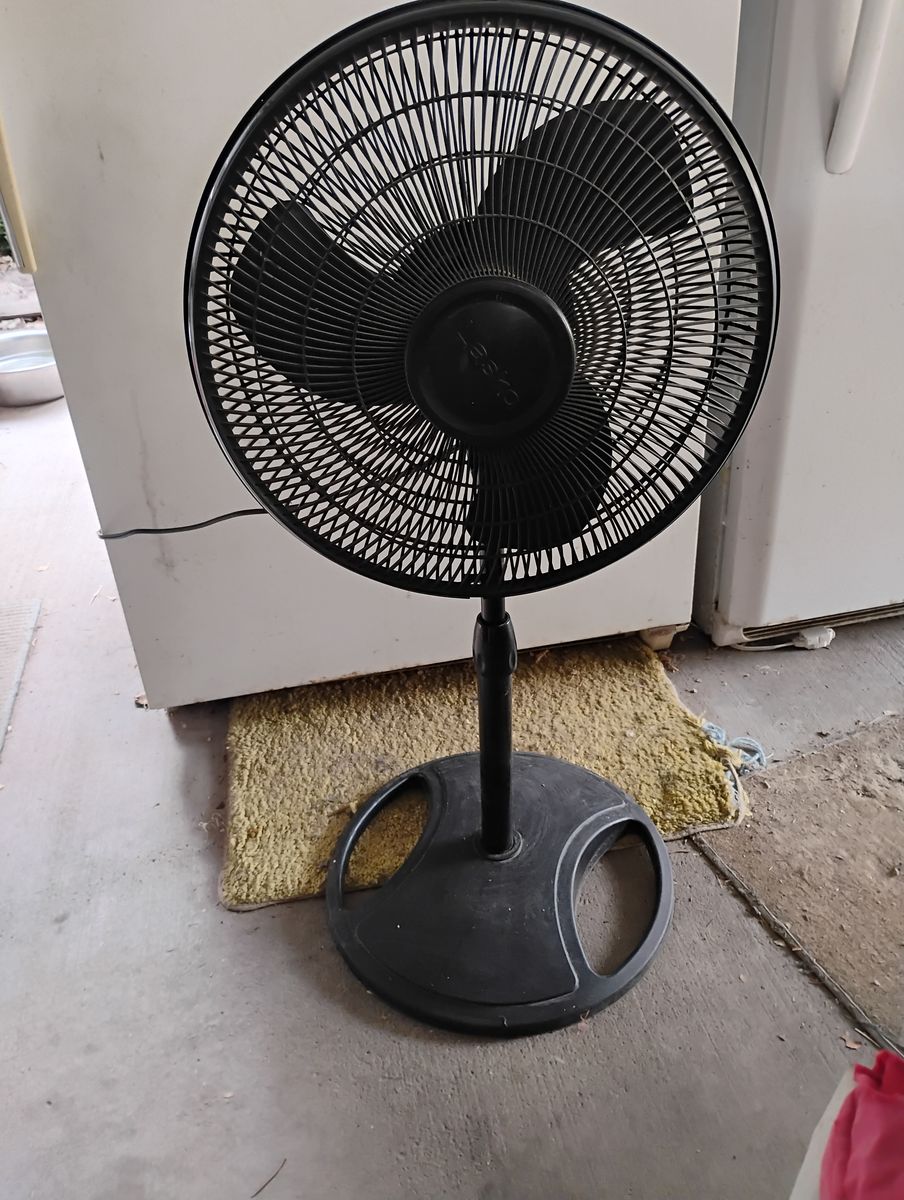 Oscillating fan on stand