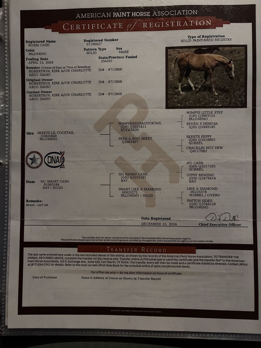 Main image 3