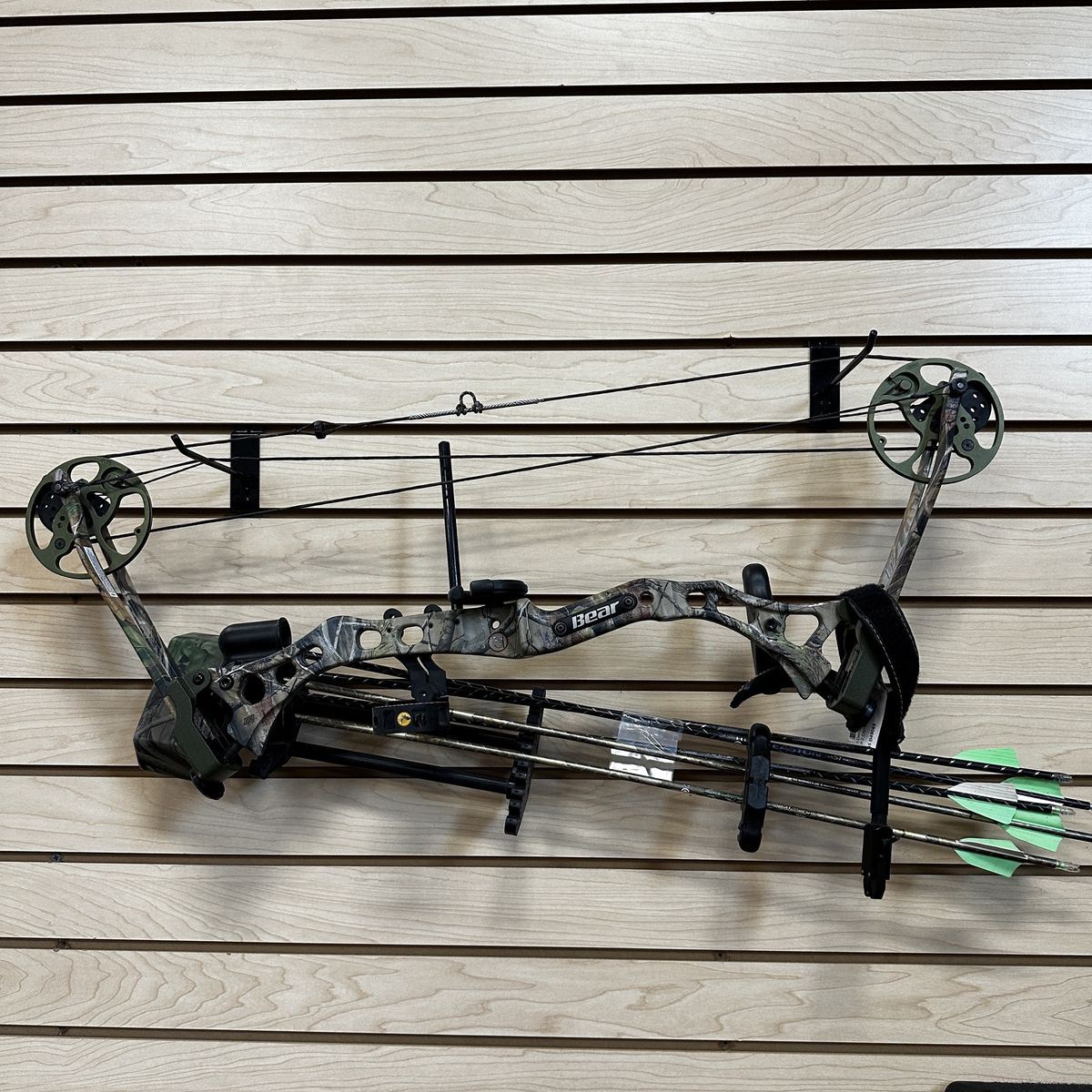 Bear Apprentice 2 compound bow