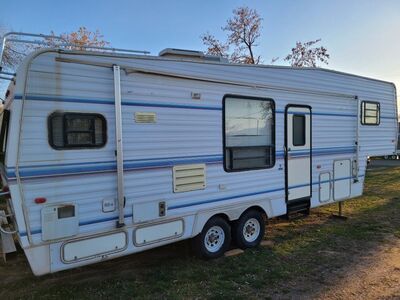 1994 american star by newmar