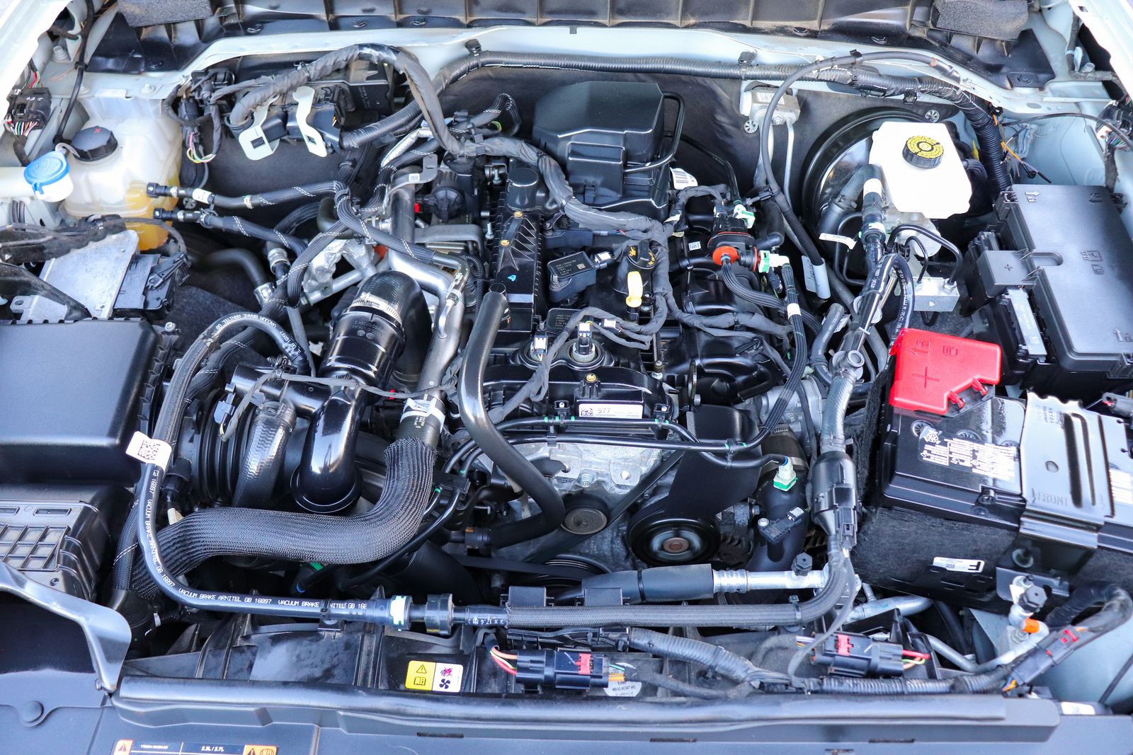 Main image 5