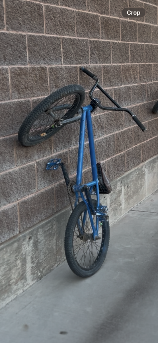 Red Rosa pro bmx bike