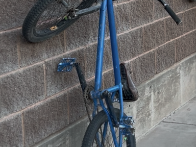 Red Rosa pro bmx bike