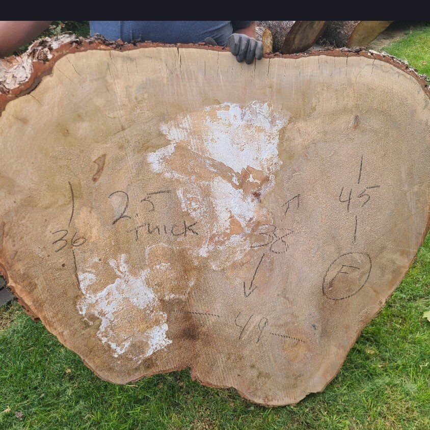 Live Edge Silver Maple Rounds Pile 2, $10 Board Ft