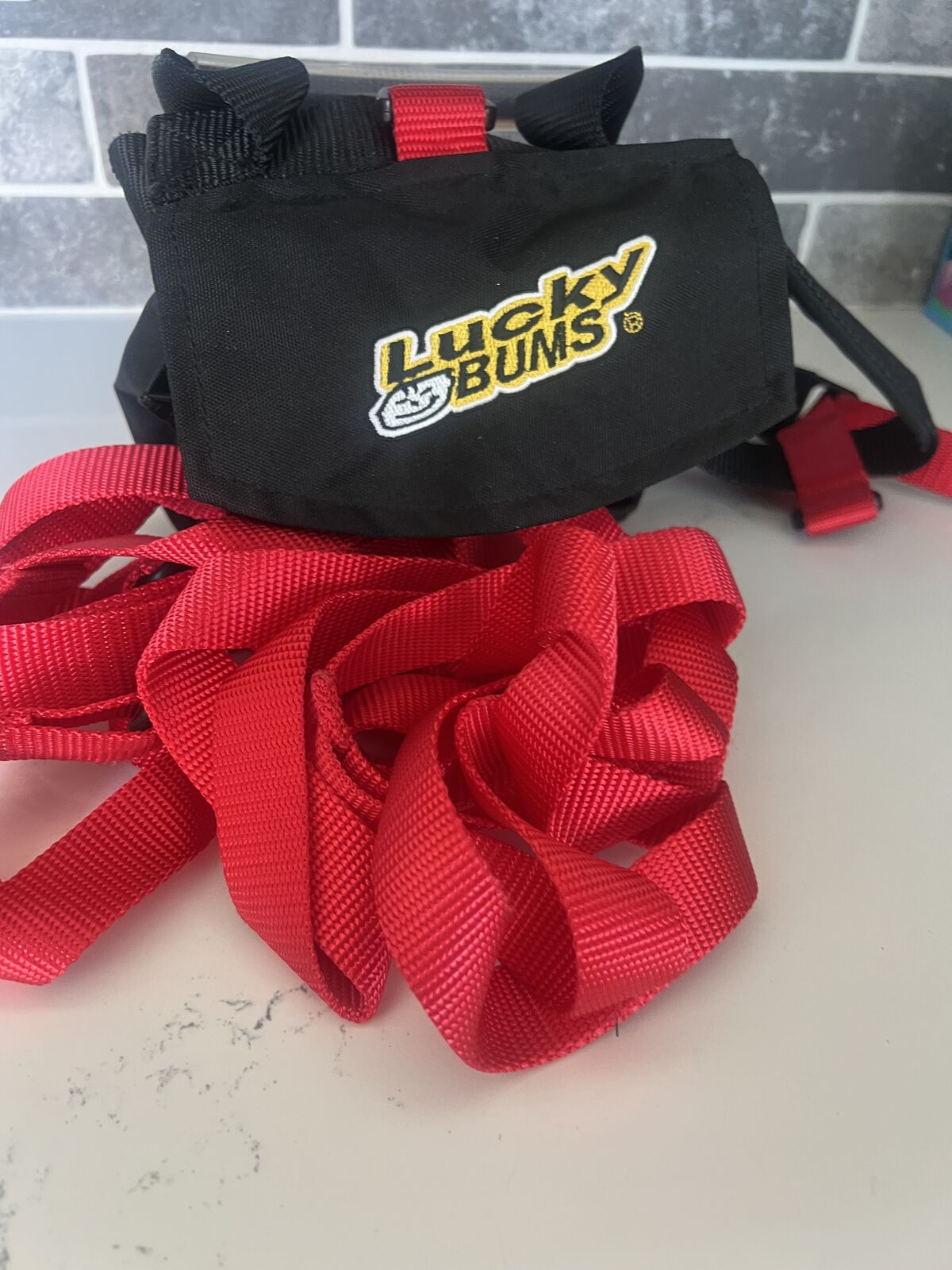 Lucky Bums Ski Trainer