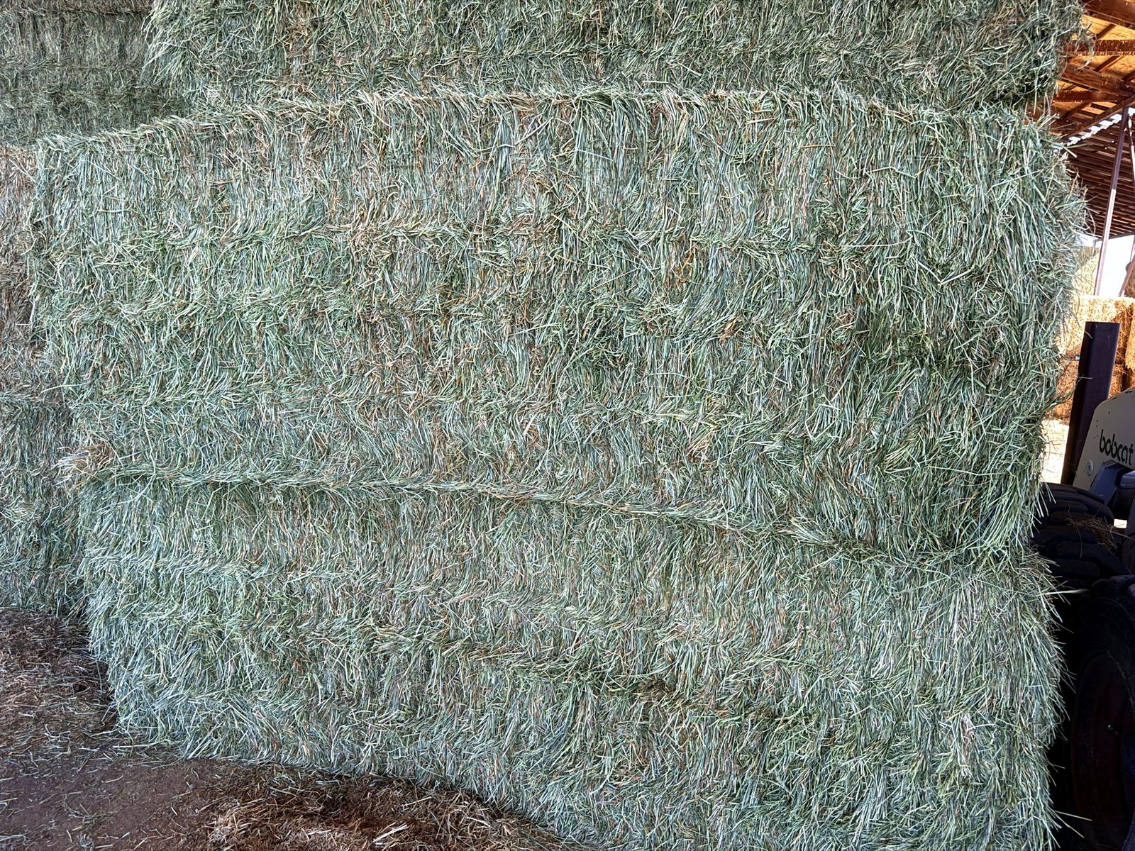 Straight grass 2026 crop