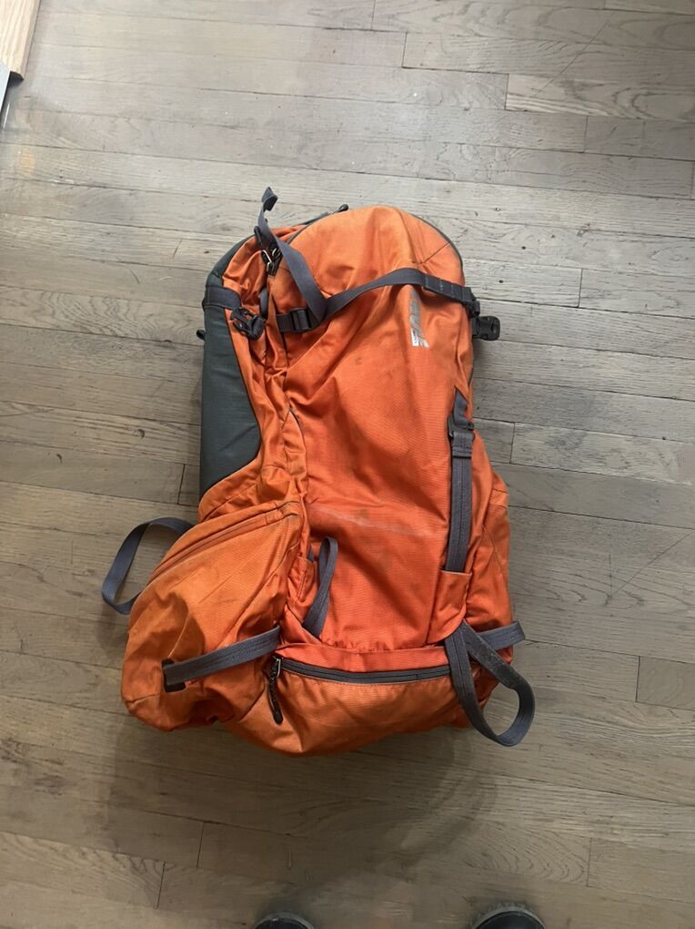 Thule Backcountry Ski Bag