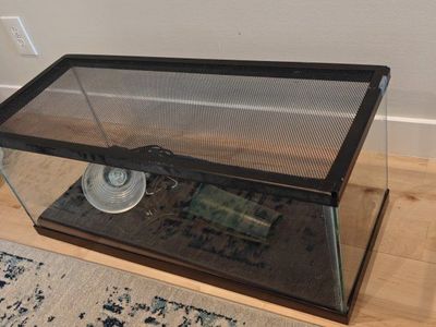 20-Gallon Reptile Tank with Mesh Top, Heat Lamp and Filter Aquarium Terrarium