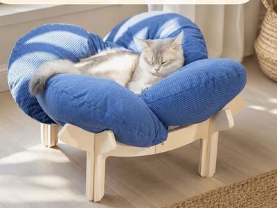 Elevated Wooden Cat Bed Frame with Plush Cushion 22 Inch
