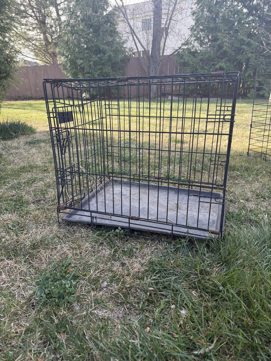 Small Kennel