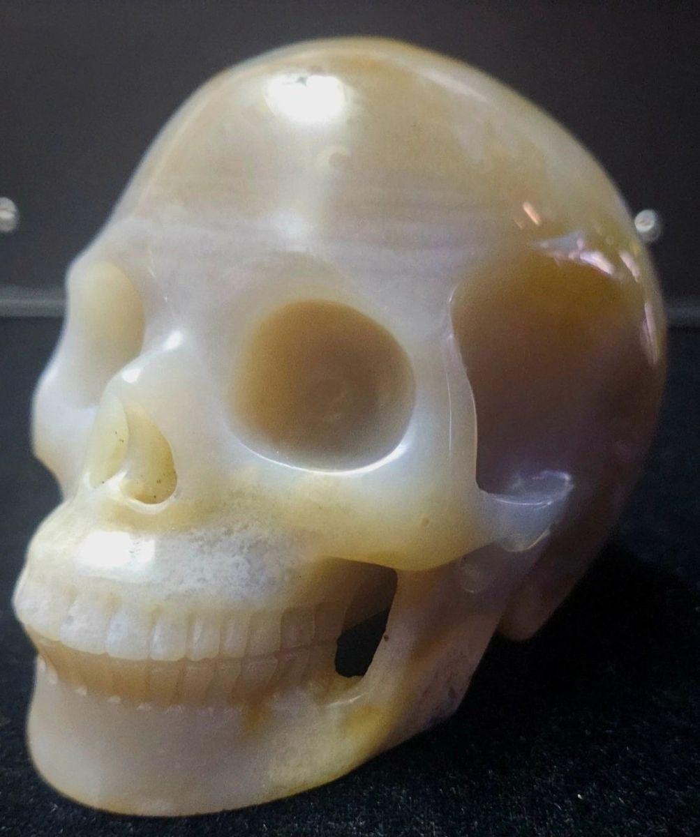 Huge 4.0" Agate Carved Crystal Skull, Super Realistic - S3006