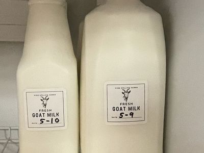 Fresh Goat Milk