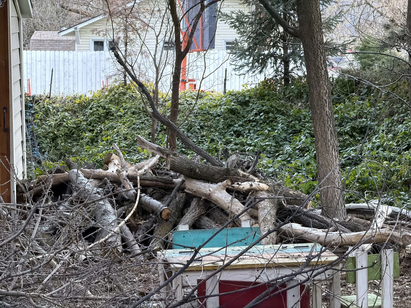 Logs, Branches, Wood