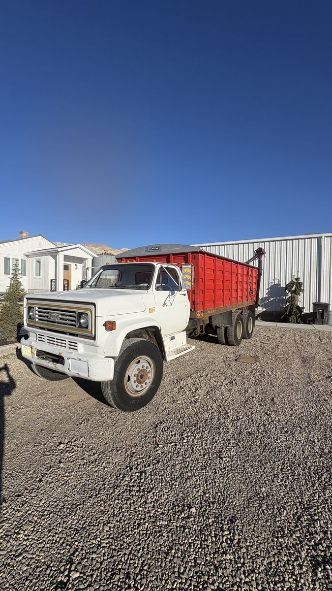 1981 Chevrolet Wheat Truck