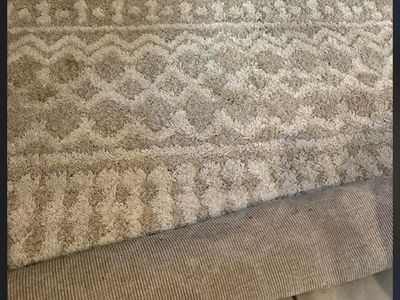 Surya Urban Shag USG-2303 Cream Beige Area Rug