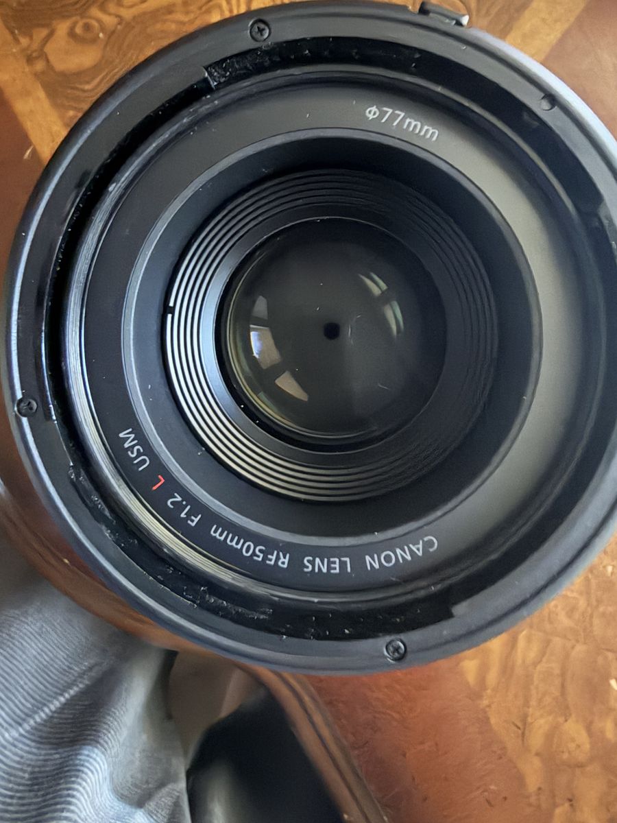 Canon R5 & FIVE Lenses