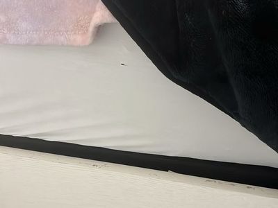 White Wooden Bed Frame