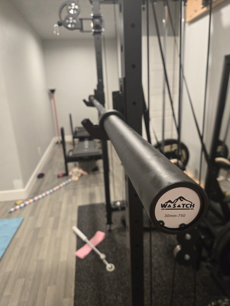 Barbell from Wasatch Pro Fitness - used only a few times, Black, 20kg