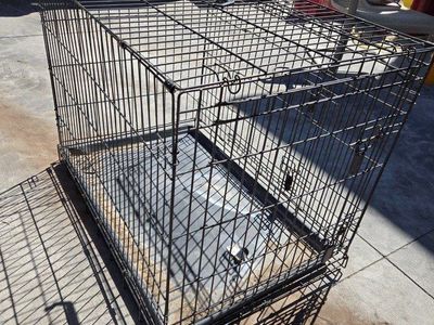 Dog Kennel