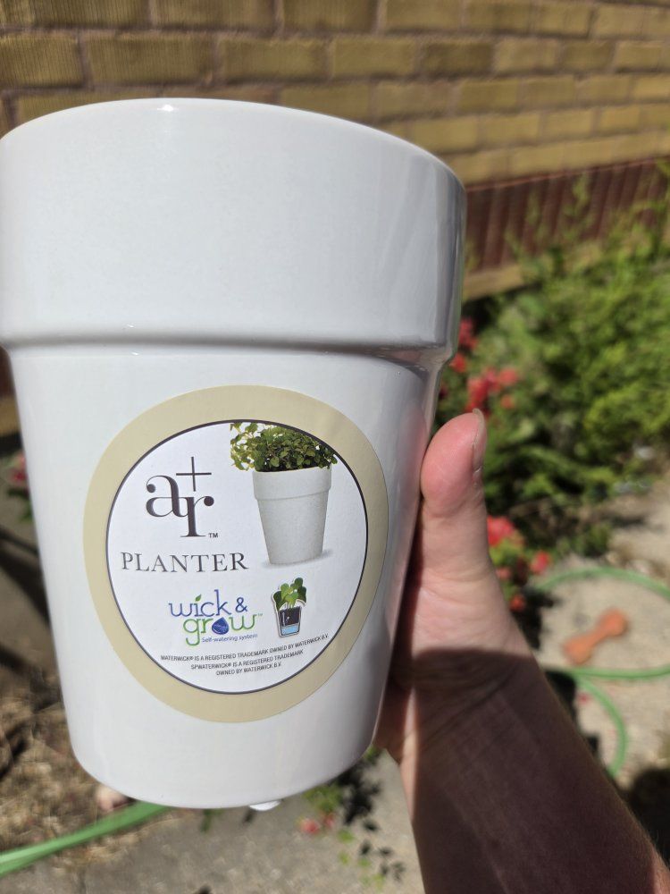 New allen and roth white ceramic Wick and grow planters set of 6.