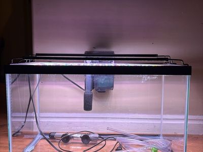 10 Gallon Aquarium Fish Tank Kit