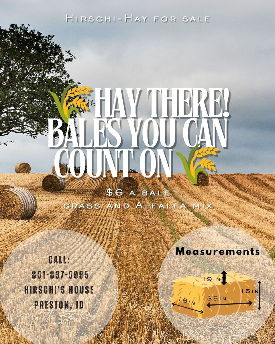 Hay for Sale