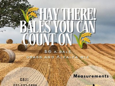 Hay for Sale