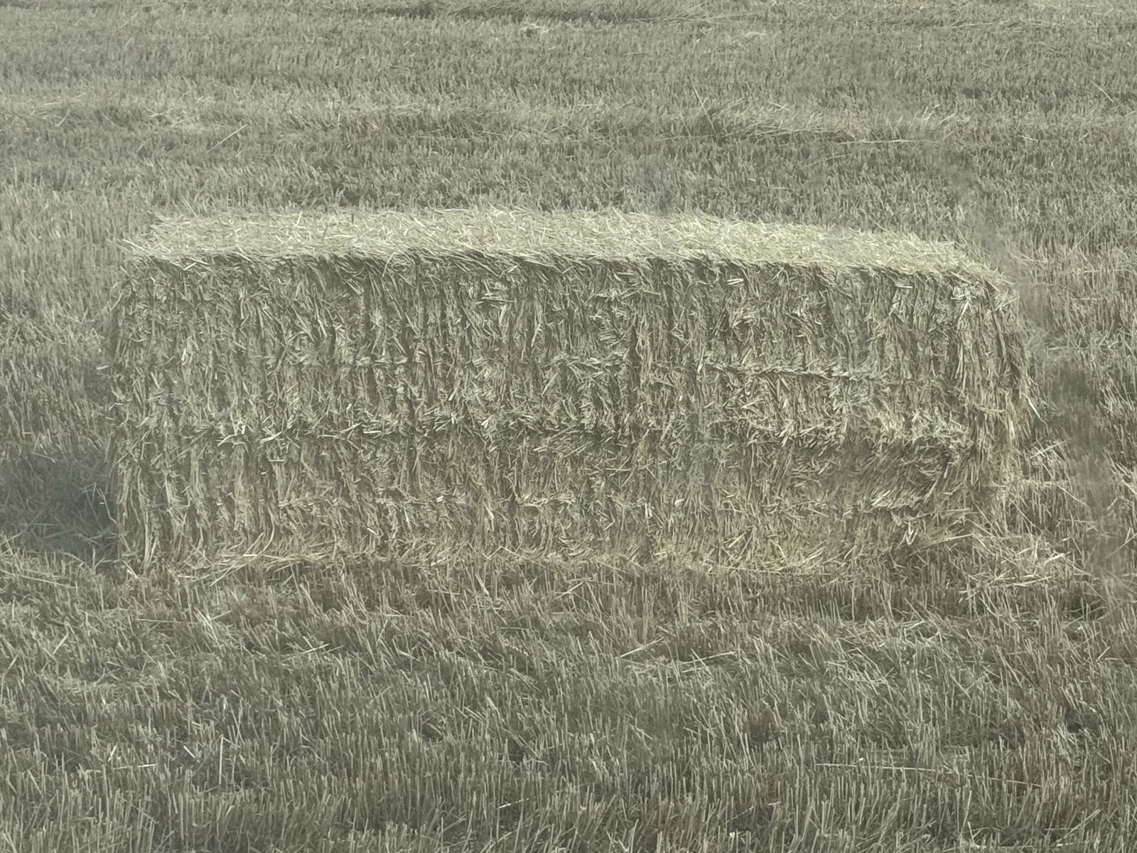 3x3x8 clean straw