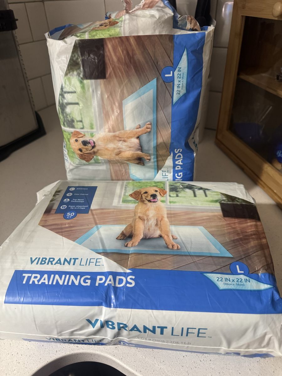 Vibrant Life Large 22x22" Super Absorbent Dog Training Pads - 50 Count with Odor Control & Attractant