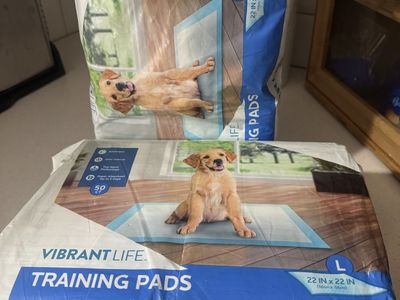 Vibrant Life Large 22x22" Super Absorbent Dog Training Pads - 50 Count with Odor Control & Attractant