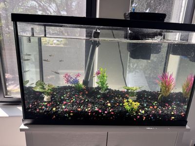 Glass Fish Tank 10gallon