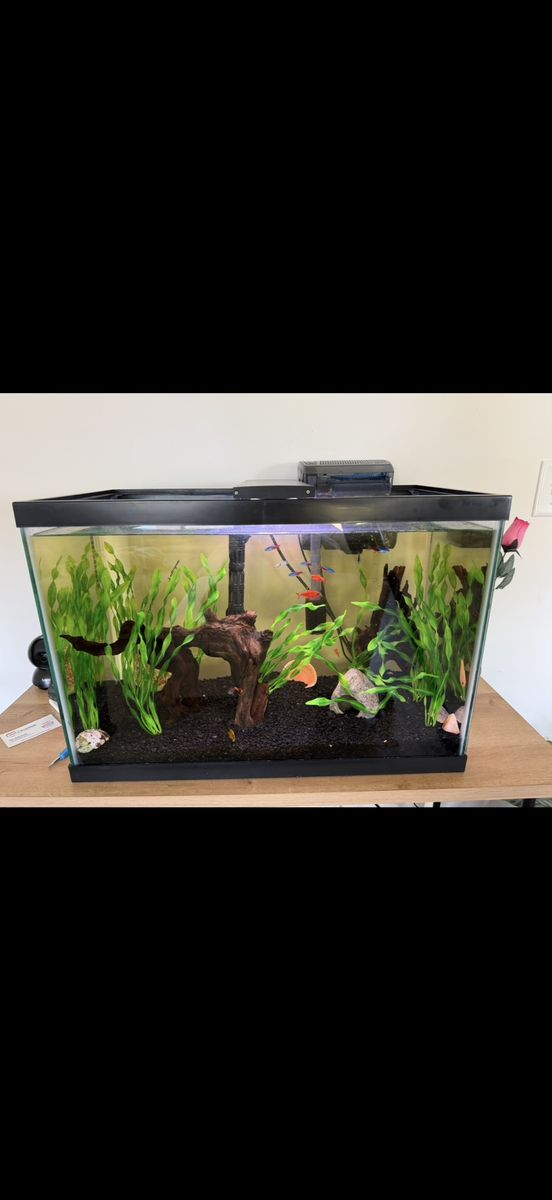 20 gal fish tank