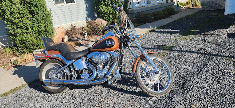 2008 Harley davidson softail classic
