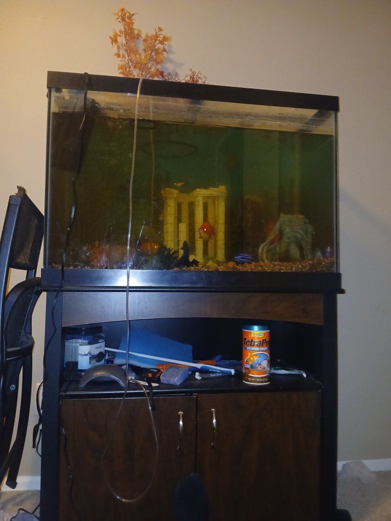 100 gallon fish tank with fish and everything else