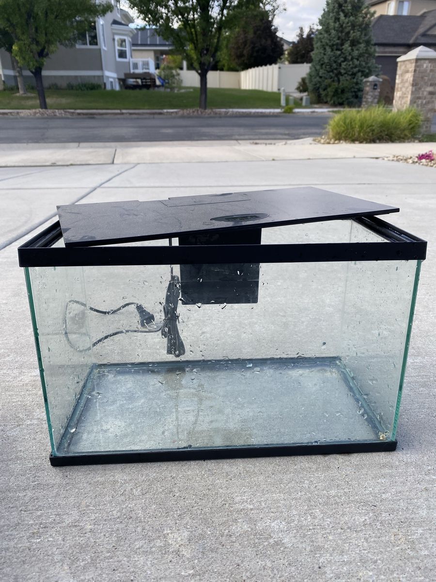 5 Gallon Aquarium Set with Filter, Heater and lots of supplies