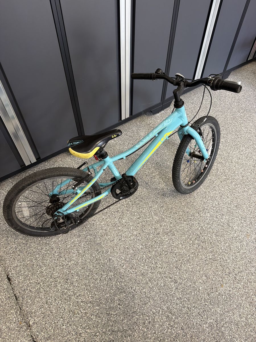 Liv Kids 20" Wheel 7-Speed Mountain Bike - Great Beginner Bike
