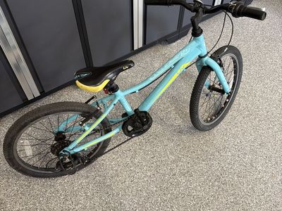 Liv Kids 20" Wheel 7-Speed Mountain Bike - Great Beginner Bike