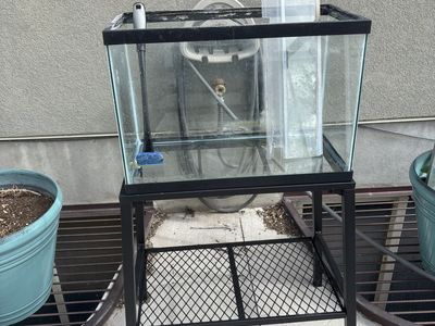 Fish Tank