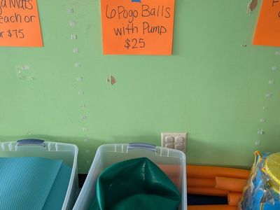 6 Pogo Balls with pump