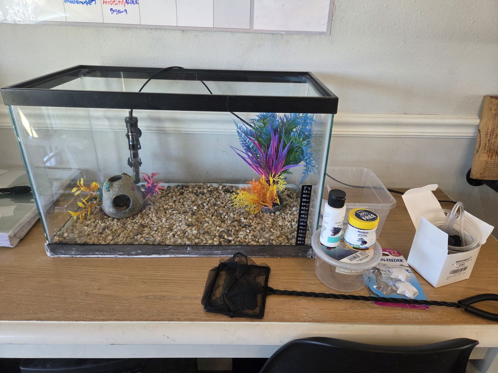 10 gallon fish tank and beta supplies