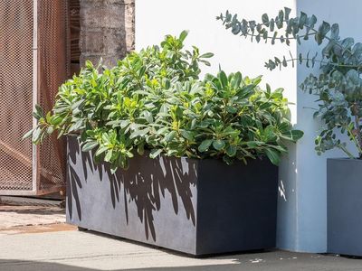Deroma Millennium Planter | 31” x 15” x 15"