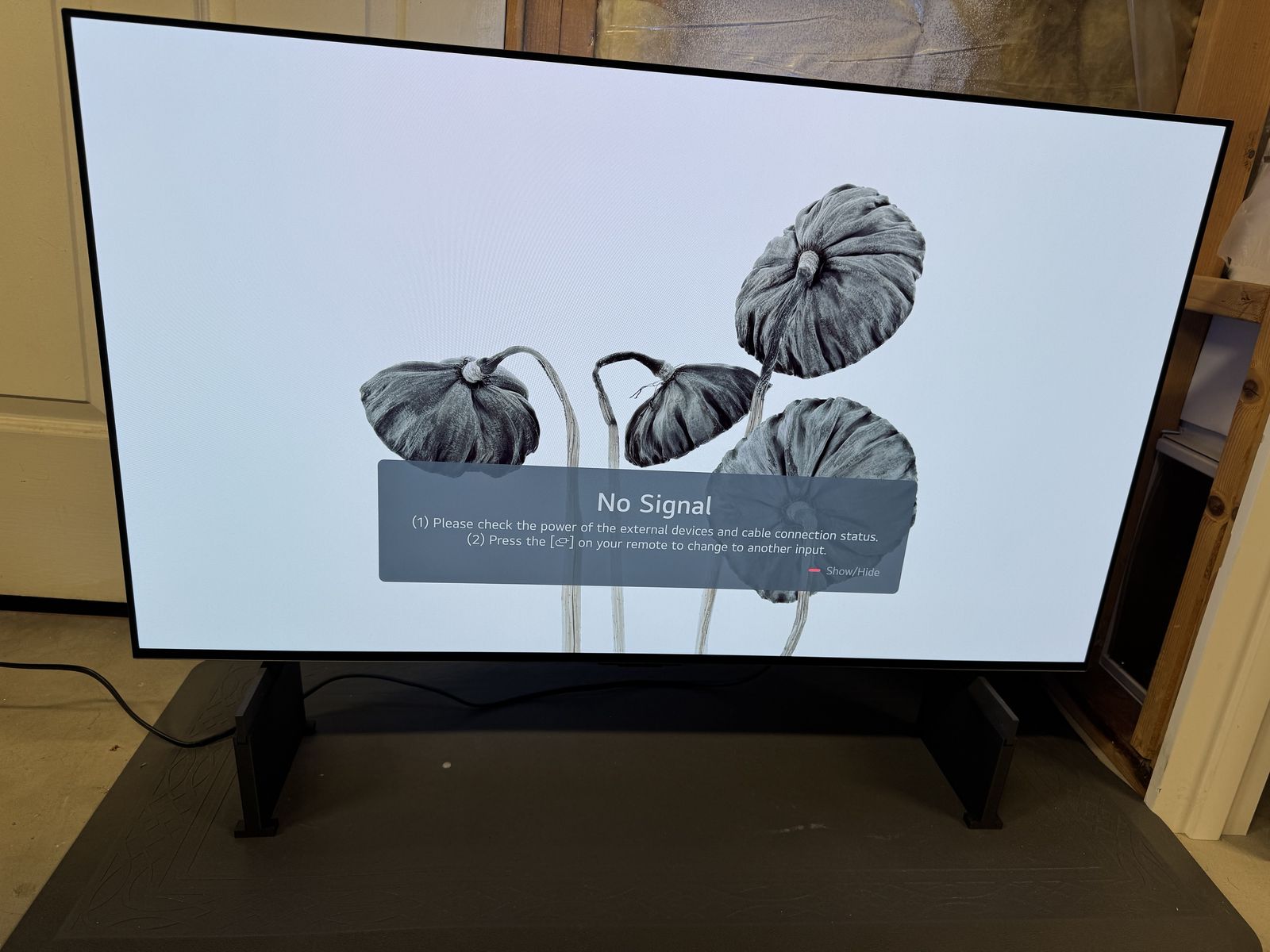 42" LG C2 OLED