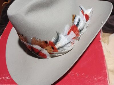 Stetson hats vintage xxxx
never used still in original box $150 each or $250 for both call mark 801-759-1025