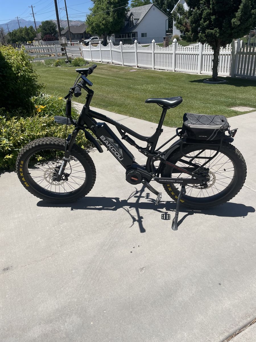 Bakcou Limited Edition,Storm Jager Electric Fat Tire Bike - Full Suspension, Rohloff Hub, Limited Edition