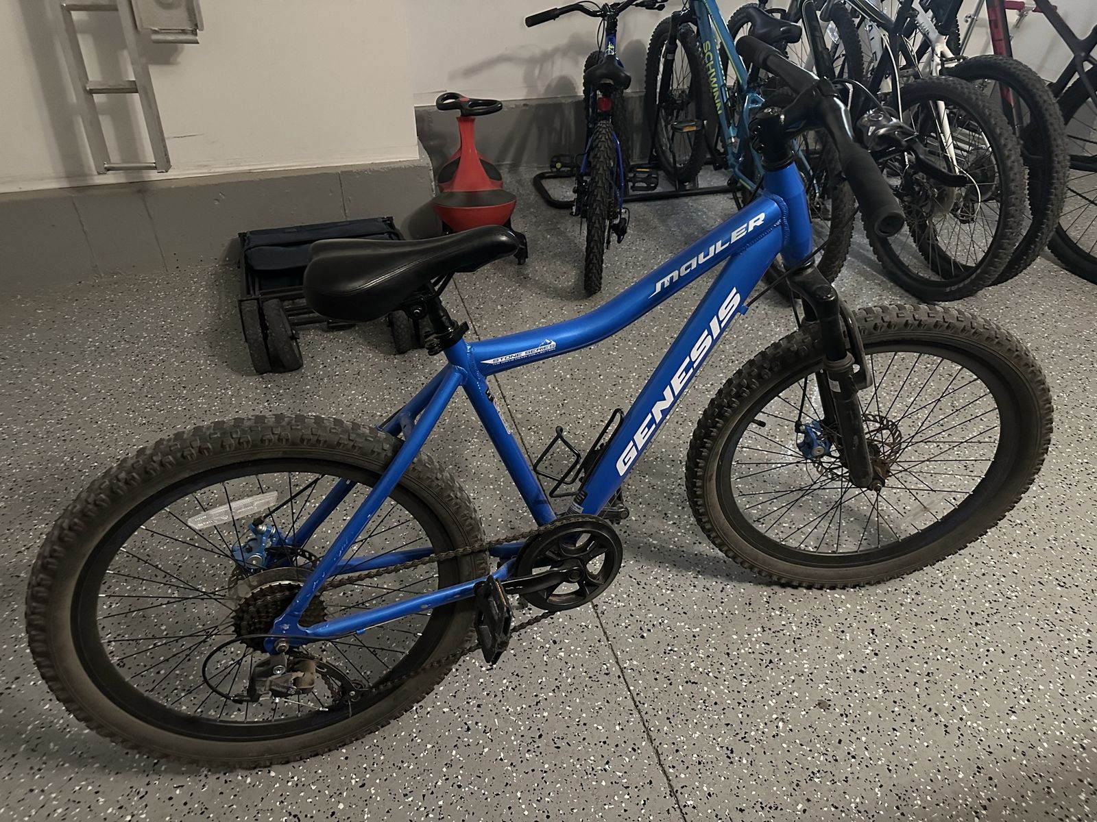 Boys Genesis bike 24”