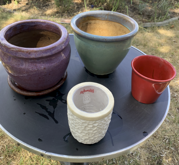 Pots, Planters, Houseplants Sale: Ceramic, Terracotta, self-watering, resin/plastic. Saturday Aug 1  Sale
