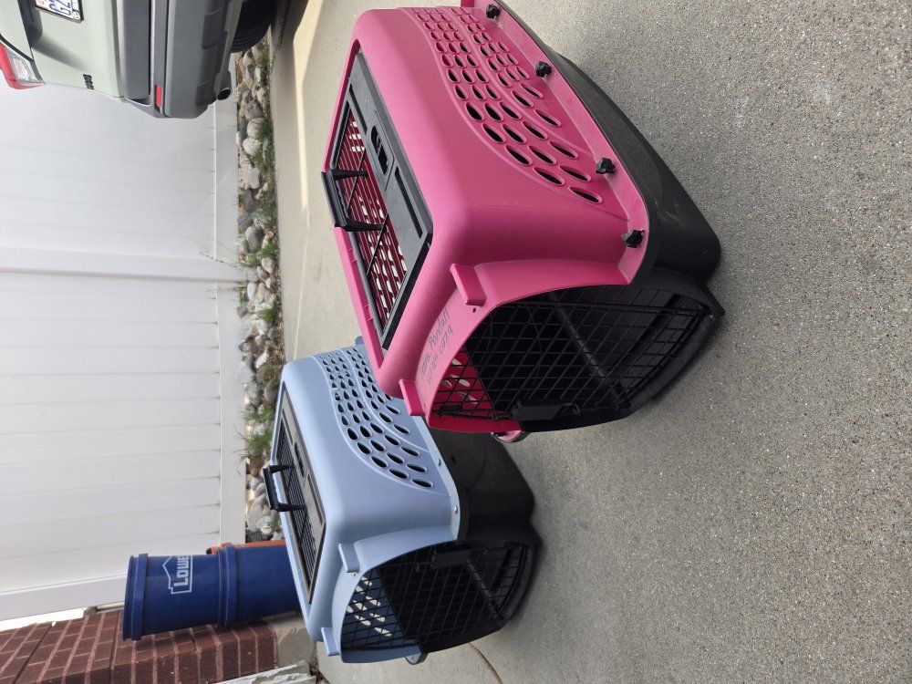 Cat carrier. pet carrier