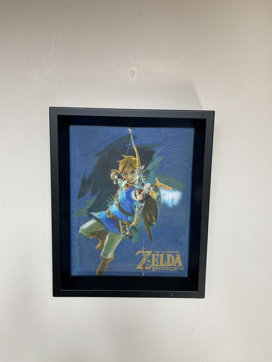 2016 Zelda: Breath Of The Wild Picture